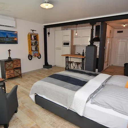 Mini Loft דירה