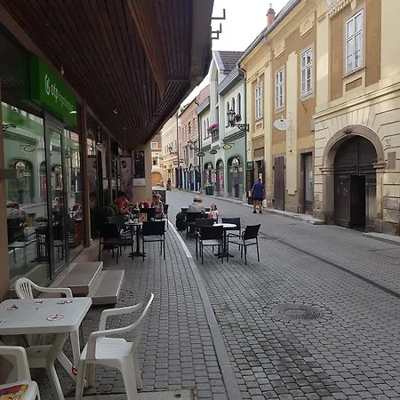 Appartement Mini Loft *